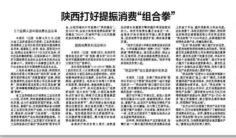 陕西打好提振消费“组合拳”